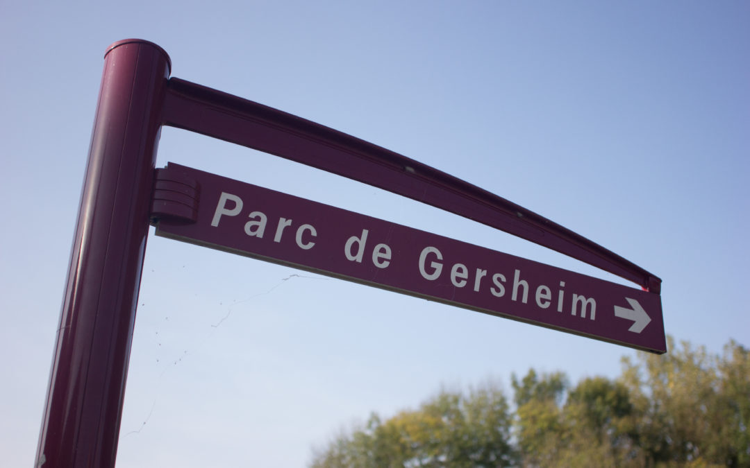 FERMETURE DU PARC DE GERSHEIM
