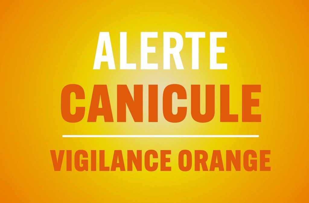 🌡️ [  ALERTE CANICULE – VIGILANCE ORANGE  ] ☀️