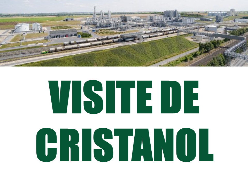 ℹ️ [ CRISTANOL // VISITES JUIN 2025 ] ❗
