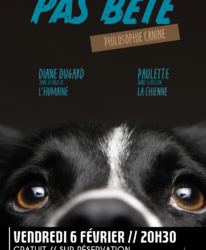 Photo de l'événement SPECTACLE // PAS BÊTE