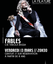 Photo de l'événement THÉÂTRE // FABLES