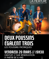 Photo de l'événement CONCERT // DEUX POUSSINS ÉGALENT TROIS