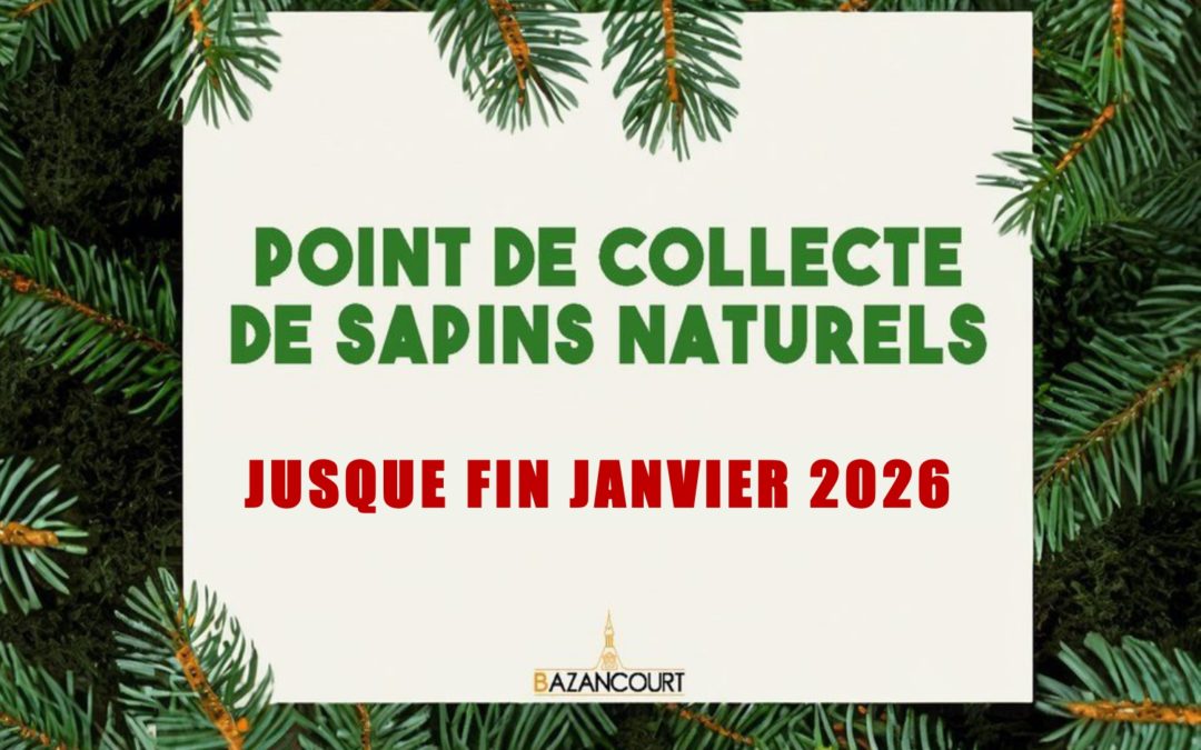 🎄 [ POINT DE COLLECTE DE SAPINS NATURELS ] ♻️