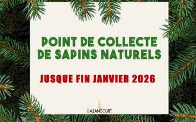🎄 [ POINT DE COLLECTE DE SAPINS NATURELS ] ♻️
