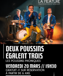 Photo de l'événement CONCERT // DEUX POUSSINS ÉGALENT TROIS