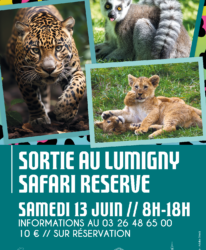Photo de l'événement SORTIE FAMILLES AU LUMIGNY SAFARI RESERVE