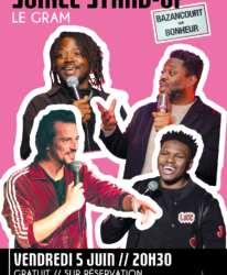 Photo de l'événement SPECTACLE // SOIRÉE STAND-UP