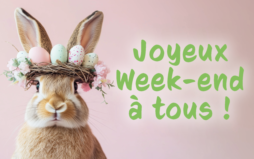 ⚠️【﻿ＡＬＥＲＴＥ　ＣＨＯＣＯＬＡＴＳ】🍫😋